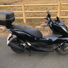 【受付中】動画あり！前後ドラレコ・43Lリアボックス・自賠責付！ 2024年式 ワンオーナー　ホンダ PCX160 後期モデルの画像