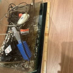 金魚　水槽の画像