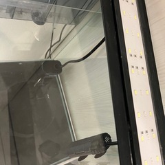 30センチキューブ水槽セットの画像
