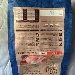 ドックフードの画像