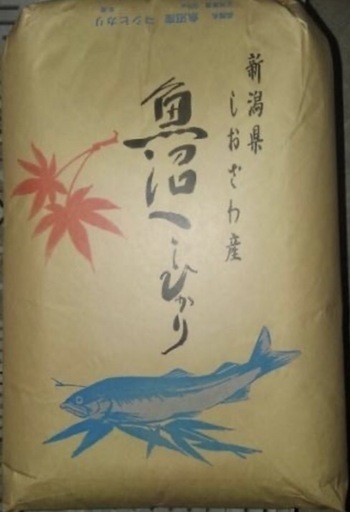 2月28日まで受付　令和7年産　精米　新潟県南魚沼産27キロ　こしひかり 中米　