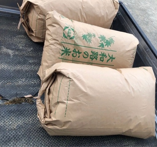 令和7年産 ヒノヒカリ 30kg 玄米 農家直産 10kg等に小分けもできます。