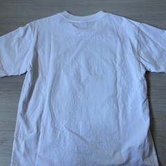 ナスティードックの画像