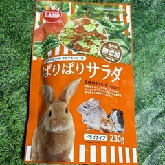 新品 未開封　うさぎ用品　　セット売り
の画像