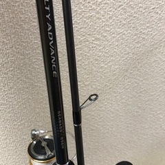 シーバスタックル、磯竿、その他、リールガードスプレー未使用の画像