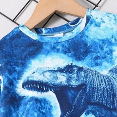 恐竜のセットアップの画像