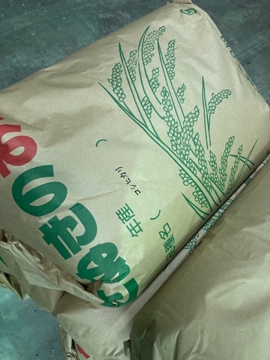 令和7年度　コシヒカリ