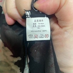 シアーブラウスの画像