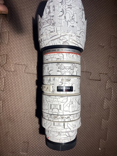 Canon EF 70-200mm F2.8 L