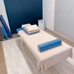 【高田ベッド】フレンド有孔メディブルー枕セットの画像