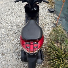 SUZUKI アドレスv50 実働　後期モデル　4サイクルFI車　距離浅い　激安　大人気車種の画像