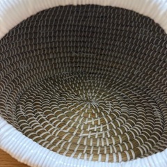 ネコハウスの画像