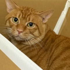 お外で頑張って生きていた男の子