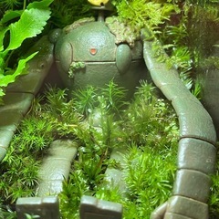 苔テラリウム ③ 天空の城ラピュタ巨人兵の画像
