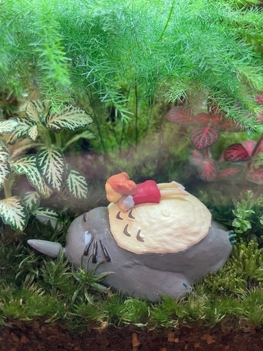 苔テラリウム　④ となりのトトロ