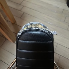 アドレスv125sバックレスト
の画像