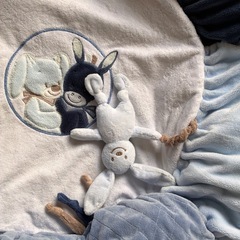 ナチューベビージムの画像