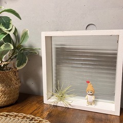 ガラスの飾り棚の画像