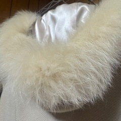 レストローズのコートの画像