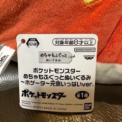 ポケモン　ホゲータ　ぬいぐるみの画像