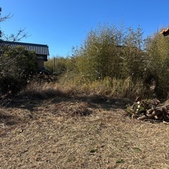 庭の整地をお願いしたいです。