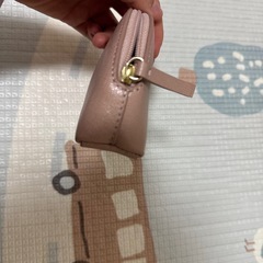 フルラポーチの画像