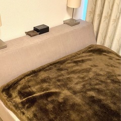 無料★現地お引き取り可能な方★低高セミダブルベッド（マットレスのみの引き渡しも可。）★状態良好★無料譲渡です★当方、搬出簡易な低層マンションです。 の画像