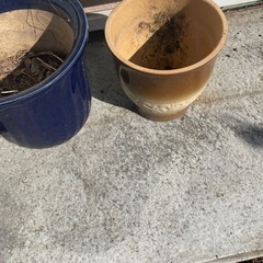 瀬戸物植木鉢5〜6個の画像