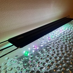 60㎝水槽　水槽フィルター　LEDライト付 の画像