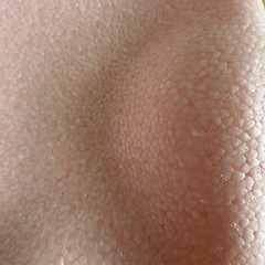 リッチェル　ひんやりしないおふろマットR の画像