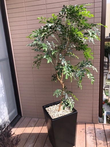 観葉植物　フェイク　造花　グリーン　