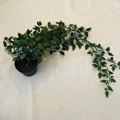 フェイクプラント　造花の画像