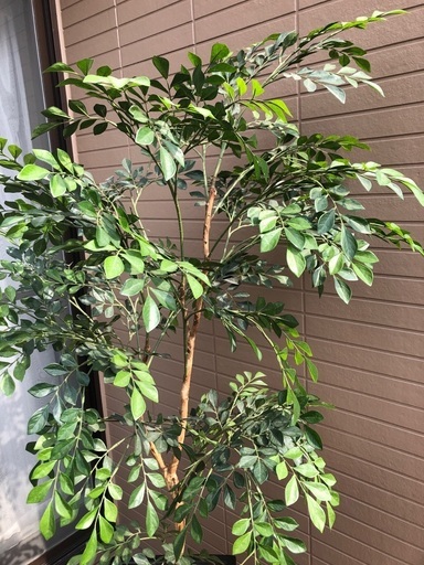 観葉植物　フェイク　造花　グリーン　