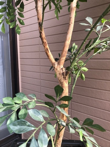 観葉植物　フェイク　造花　グリーン　