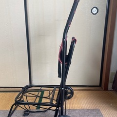 キャプテンスタッグキャリーの画像