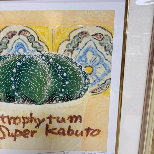 針のないサボテン 絵画 国広富之