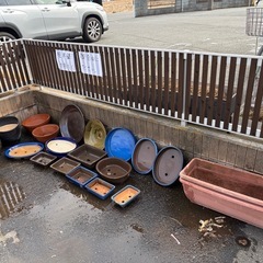 植木鉢、鉢植え、セトモノ系