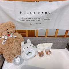 hello baby 　ニューボーンフォト タペストリーの画像