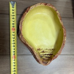 爬虫類　シェルター　水入の画像