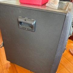 れはパイオニアのコンパチブルレーザーカラオケシステム「LK-P11の画像