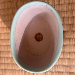 盆栽鉢　ヒビありの画像