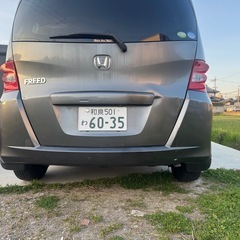 フリードの画像