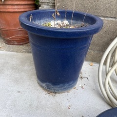 植木鉢の画像