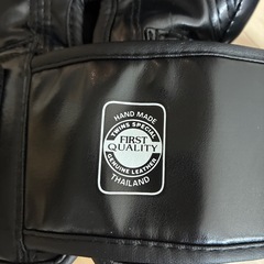 twinsグローブの画像