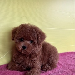 素敵な出会いがありますように✨