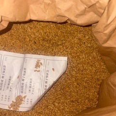 種籾　アキヒカリの画像