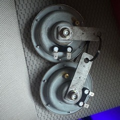 マルコホーンの画像