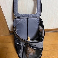 ★猫★リュックサック★バックパック★猫散歩★猫旅行の画像