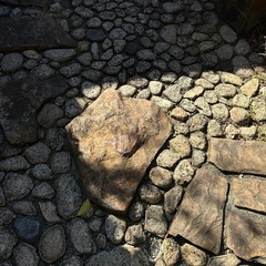 2/15まで　大きな庭石など、複数あります　の画像