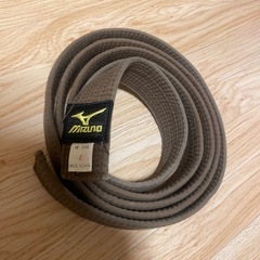 空手の帯
の画像